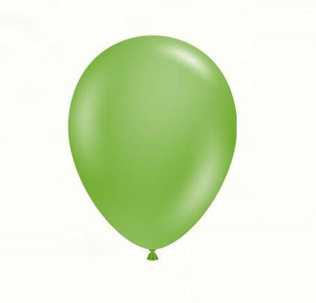 17" FIONA - PKG/50CT