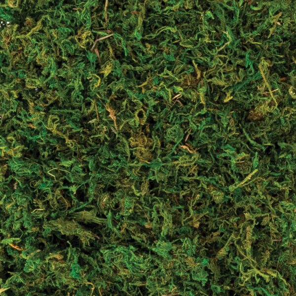 NATURAL MOSS